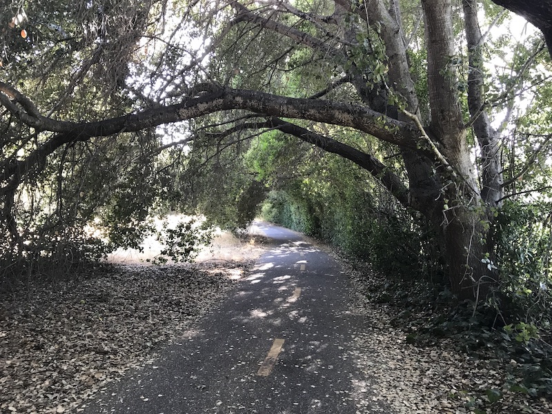LA-PA trail