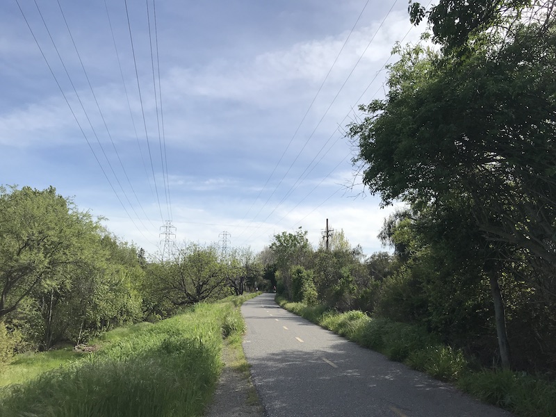 Steven's Creek trail